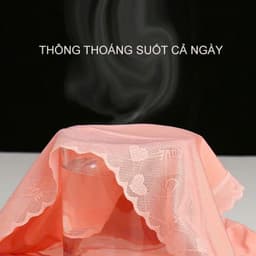 SET 5-10 Quần Lót Nữ Lụa Băng Mềm Phối Cạp Ren Tim Mềm Mại tôn dáng mã 9099 6