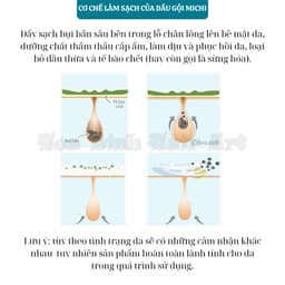 Dầu gội Michi kiềm dầu,mọc tóc,ngăn rụng và gàu,nấm,ngứa bộ sản phẩm Hàn Quốc dành cho da đầu 8