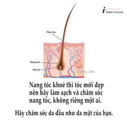 gội xả kiềm dầu,mọc tóc,ngăn rụng, gàu,nấm,ngứa Bộ sản phẩm gội,tonic Michi 9