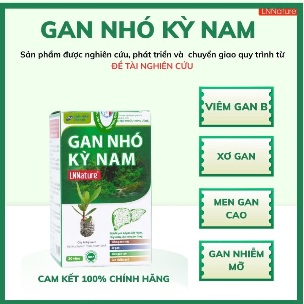 Gan Nhó Kỳ Nam Chính Hãng - Dành cho người Viêm gan B, Xơ gan, Men gan cao, Gan nhiễm mỡ