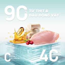 [COMBO 3-5 TÚI] Hạt PetQ Churro C90,C90U,C90K, Thức Ăn Hạt Pet Q Cho Mèo Dinh dưỡng, Ngon miệng 4