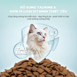 [COMBO 3-5 TÚI] Hạt PetQ Churro C90,C90U,C90K, Thức Ăn Hạt Pet Q Cho Mèo Dinh dưỡng, Ngon miệng 6
