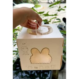 Combo 5 Hộp đựng bánh mini bento 16x16x15cm kèm đế 5