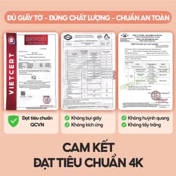 [SIÊU TO, CAO CẤP] Giấy vệ sinh treo tường TopGia thùng 10 12 8 6 bịch đa sắc, combo tiết kiệm 1280 tờ 8