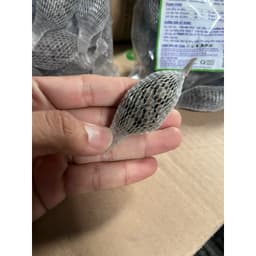 Túi nhỏ phân hữu cơ tan chậm cho hoa Lan (1 bọc 50 túi ) hàng Điền Trang 1