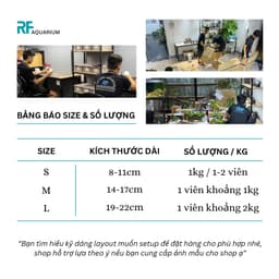 1kg Đá Da Voi Làm Layout Hồ Thủy Sinh Nhiều Kích Thước 9