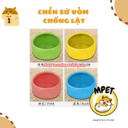 Chén sứ chống lật cho hamster 1