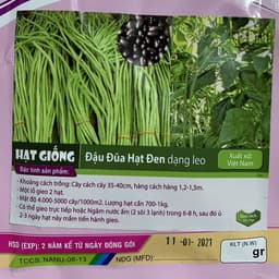 Gói 20gr hạt giống đậu đũa hạt đen dạng leo - thegioiraumam 2