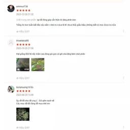 Hạt giống Mướp đắng Rừng hàng công ty 3