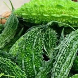 Hạt giống Mướp đắng Rừng hàng công ty 7