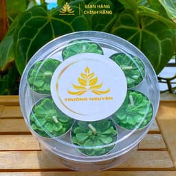 Hộp 21 Viên Nến Tealight Trường Nguyên Organic, An Toàn Lành Tính ,Nến Bơ Thực Vật Cúng Phật,Thần Tài Cháy 2H 6
