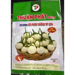 Hạt giống cà pháo trắng năng xuất hàng công ty 6