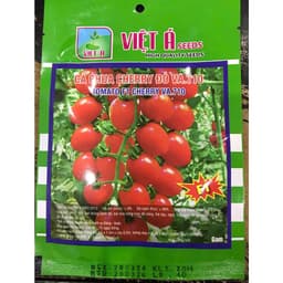 Hạt giống Cà chua cherry đỏ (bi đỏ) hàng công ty 7