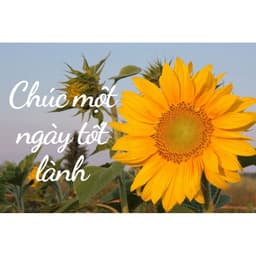 Bột Clo (chlorine), clo 70%, Clo Aqua Org-Ấn Độ, xử lý nước bể bơi, hồ cá, chăn nuôi - 1 thùng 45kg 8