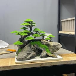Cây Bonsai Ver.1 | Layout Thuỷ Sinh Cao Cấp Nhiều Kích Thước Đã Gắn Sẵn Rêu Xanh | RF Aquarium 3