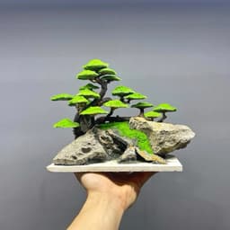 Cây Bonsai Ver.1 | Layout Thuỷ Sinh Cao Cấp Nhiều Kích Thước Đã Gắn Sẵn Rêu Xanh | RF Aquarium 4