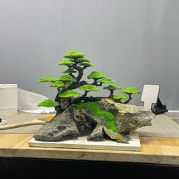 Cây Bonsai Ver.1 | Layout Thuỷ Sinh Cao Cấp Nhiều Kích Thước Đã Gắn Sẵn Rêu Xanh | RF Aquarium 5
