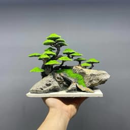 Cây Bonsai Ver.1 | Layout Thuỷ Sinh Cao Cấp Nhiều Kích Thước Đã Gắn Sẵn Rêu Xanh | RF Aquarium 6