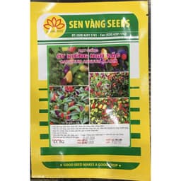 Hạt giống Ớt kiểng ngũ sắc F1 hàng công ty 9