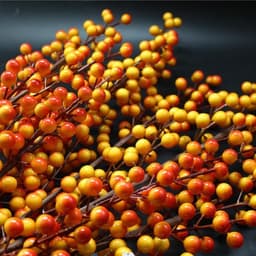 Cành đông đào 12 nhánh màu vàng, trang trí tết, trang trí noel, trang trí tiệc, cắm hoa Decor Phòng 4