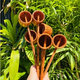 Gáo múc rượu gỗ dừa cao cấp, gáo dừa múc rượu hàng loại 1 dày dặn bền theo thời gian 8