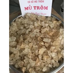 Mủ Trôm Vĩnh Hảo 1kg Hạt Lựu Lớn Nguyên Chất Tại Vườn Thanh Nhiệt Tại hutohutoshop 3