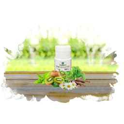 Kiwi Booster Mẹ Ken 100ml 2