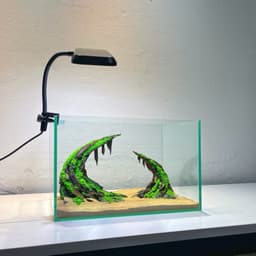 RF Aquarium |Aquascape Cổng Vòm Ver 3 - Layout Thuỷ Sinh Dáng Vòm Trầm Lắng Chiều Sâu 5