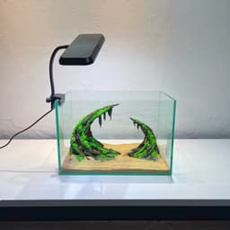 RF Aquarium |Aquascape Cổng Vòm Ver 3 - Layout Thuỷ Sinh Dáng Vòm Trầm Lắng Chiều Sâu 7