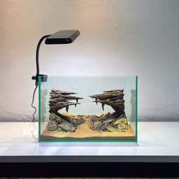 Layout Thuỷ Sinh Hẻm Núi Ver.3 | Nghệ Thuật Tái Tạo Lại Cảnh Quan Từ Gỗ Đá Tự Nhiên | RF Aquarium 6