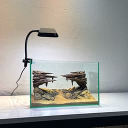 Layout Thuỷ Sinh Hẻm Núi Ver.3 | Nghệ Thuật Tái Tạo Lại Cảnh Quan Từ Gỗ Đá Tự Nhiên | RF Aquarium 7