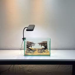 Layout Thuỷ Sinh Hẻm Núi Ver.3 | Nghệ Thuật Tái Tạo Lại Cảnh Quan Từ Gỗ Đá Tự Nhiên | RF Aquarium 8