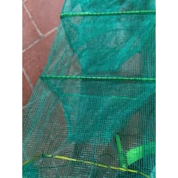 Lưới Lồng Bát Quái Chuyên Bắt Tôm Cua Cá Lươn Trạch Mắt Lưới 3mm Dài Từ 4m5 Đến 8m Hàng Chất Lượng 3