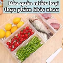 Hộp chứa thực phẩm kín Hokori Việt Nhật - 2 lớp cao cấp cứng cáp 4