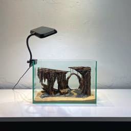 Layout Thuỷ Sinh Hang Động Ver.4  l Layout Thủy Sinh Setup Cho Bể Thuỷ Sinh Từ 20-40cm | RF Aquarium 2