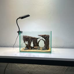 Layout Thuỷ Sinh Hang Động Ver.4  l Layout Thủy Sinh Setup Cho Bể Thuỷ Sinh Từ 20-40cm | RF Aquarium 3