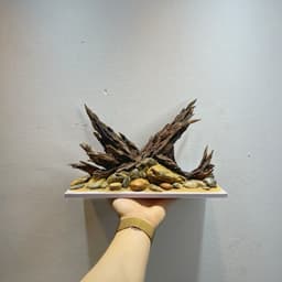 Layout Thuỷ Sinh Phong Cách Nature Ver.8 | Chế Tác Từ Gỗ Lũa Tự Nhiên Nghệ Thuật Thuỷ Sinh | RF Aquarium 2