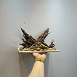 Layout Thuỷ Sinh Phong Cách Nature Ver.8 | Chế Tác Từ Gỗ Lũa Tự Nhiên Nghệ Thuật Thuỷ Sinh | RF Aquarium 3