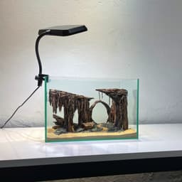 Layout Thuỷ Sinh Hang Động Ver.4  l Layout Thủy Sinh Setup Cho Bể Thuỷ Sinh Từ 20-40cm | RF Aquarium 5
