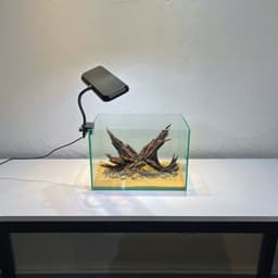 Layout Thuỷ Sinh Phong Cách Nature Ver.8 | Chế Tác Từ Gỗ Lũa Tự Nhiên Nghệ Thuật Thuỷ Sinh | RF Aquarium 9