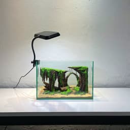 Layout Thuỷ Sinh Hang Động Ver.4  l Layout Thủy Sinh Setup Cho Bể Thuỷ Sinh Từ 20-40cm | RF Aquarium 6