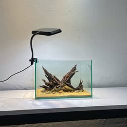 Layout Thuỷ Sinh Phong Cách Nature Ver.8 | Chế Tác Từ Gỗ Lũa Tự Nhiên Nghệ Thuật Thuỷ Sinh | RF Aquarium 7