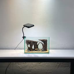 Layout Thuỷ Sinh Hang Động Ver.4  l Layout Thủy Sinh Setup Cho Bể Thuỷ Sinh Từ 20-40cm | RF Aquarium 4