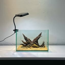 Layout Thuỷ Sinh Phong Cách Nature Ver.8 | Chế Tác Từ Gỗ Lũa Tự Nhiên Nghệ Thuật Thuỷ Sinh | RF Aquarium 6
