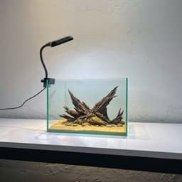 Layout Thuỷ Sinh Phong Cách Nature Ver.8 | Chế Tác Từ Gỗ Lũa Tự Nhiên Nghệ Thuật Thuỷ Sinh | RF Aquarium 8