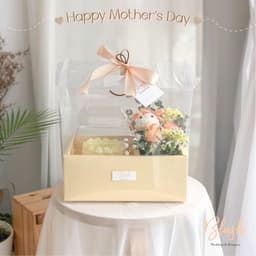 Hộp mica trong 2 ngăn có quai xách, hộp 2 ngăn bánh và hoa, hộp quà 2 ngăn 6
