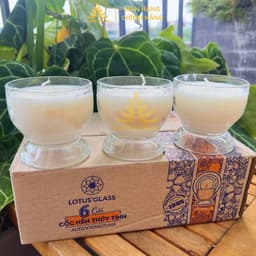 Nến Bơ Trường Organic Ly N03T 150ml Cháy 27h, Nến Cúng, Nến Bàn Thờ, Nến Cúng Dường, Nến Sắp Lễ 6