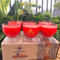 Nến Bơ Trường Organic Ly N03T 150ml Cháy 27h, Nến Cúng, Nến Bàn Thờ, Nến Cúng Dường, Nến Sắp Lễ 7