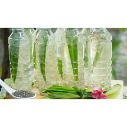 Mủ Trôm Hạt Chia 500g Nguyên Chất Túi Zíp – Thanh Nhiệt Giải Khát, Giàu Chất Xơ, Thức Uống Dinh Dưỡng Cho Cả Gia Đình 6