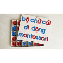 Bộ chữ cái di động chuẩn Montessori Tiếng Việt in thường 6